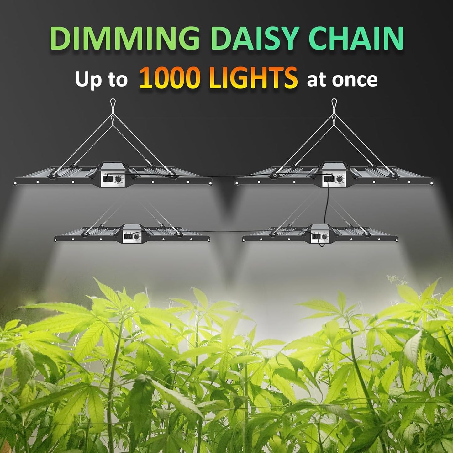 BLOOMINGREEN LED Grow Lights for Indoor Plants 200W Full-Spectrum Daisy Chain Grow Lamp with Samsung LM301B Diodes&672pcs LEDs,Dimmable Growing Light Fixtures in Greenhouse Vegetable Flower 2x2/3x3ft