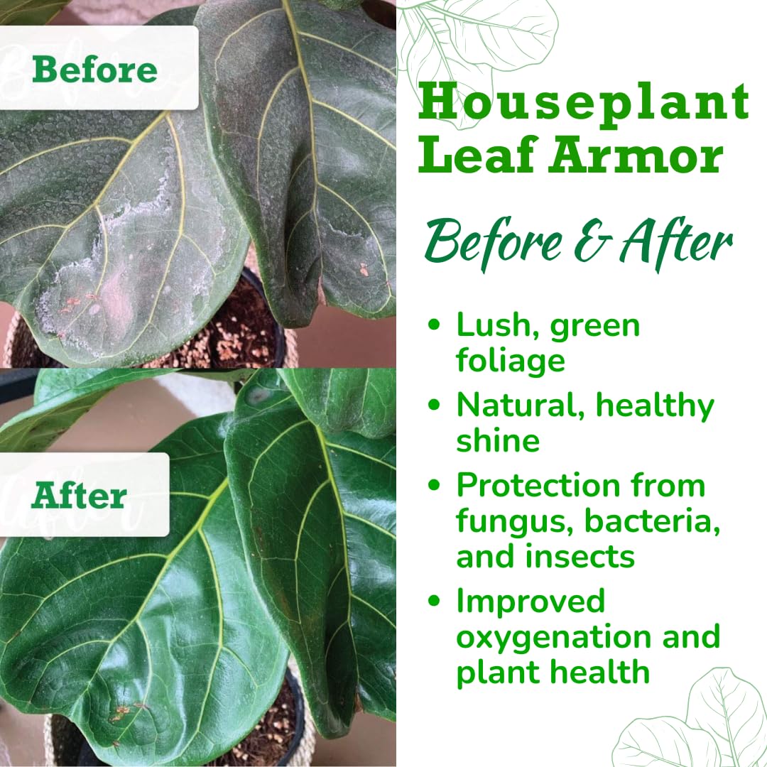 Leaf Armor Spray for Houseplants – Protects Against Fungal Leaf Spots, Bacteria, Pathogens & Yellowing | Gentle & Natural Phosphite Formula | Ready-to-Use | Made in USA – 8 oz