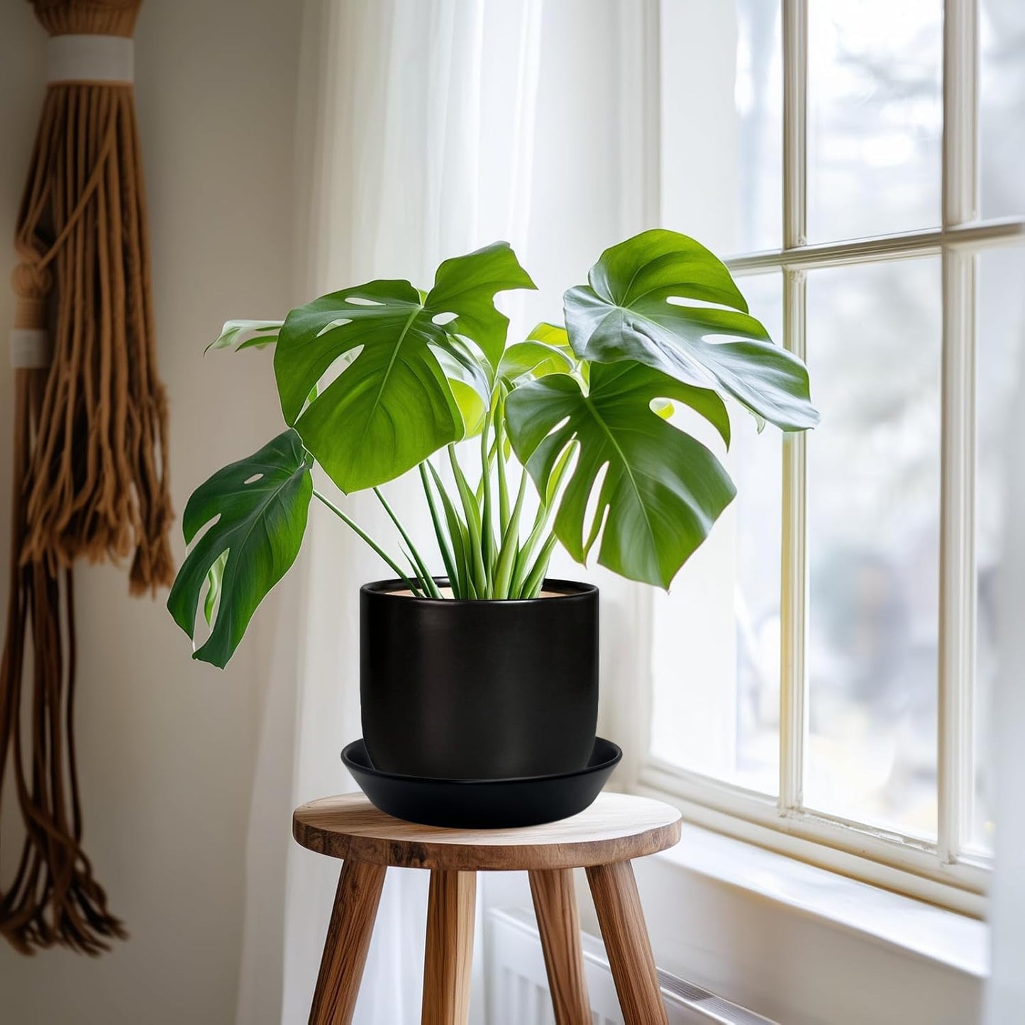 4 Pack of Plant Saucer, 5 inch Glazed Ceramic Plant Tray, Deep Drainage Tray for 4 Inch Flower Pot,Plant Dish Plate to Catch Water for Indoor & Outdoor