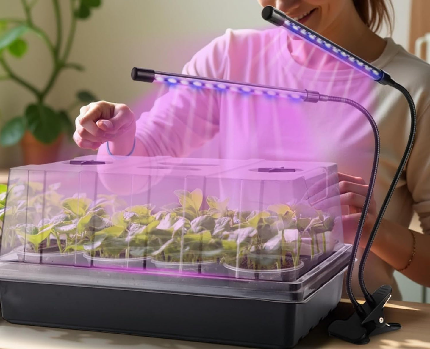 50p 3.5" Clear Nursery Pots with 4p Trays and 2p Adjustable LED Grow Lights – Transparent Plant Pots with Drainage Holes, Complete Seed Starter Kit with 5" Tall Humidity Dome for Plant Propagation