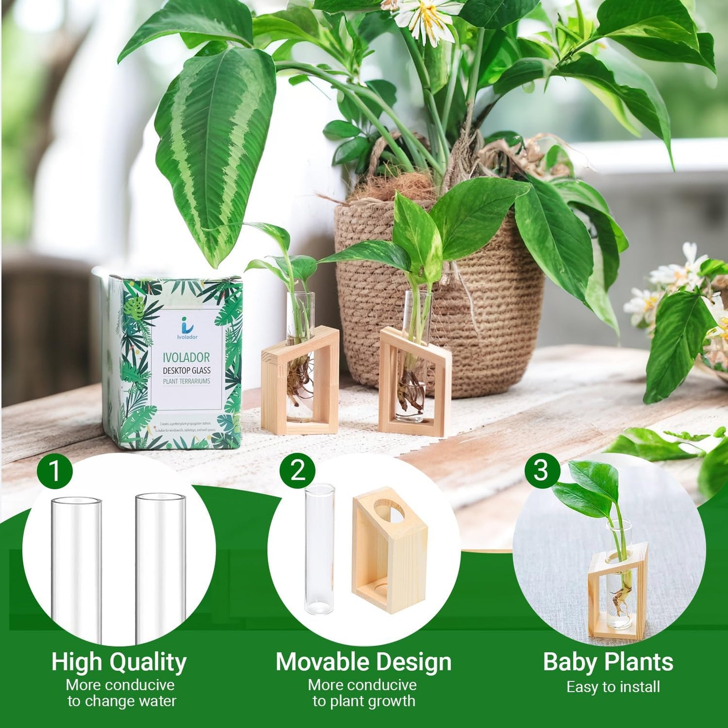 Ivolador Plant Propagation Station, Plant Propagation Tubes,Gifts for Plant Lovers,Plants Cutting Holder Office Desk Garden Décor Gifts for Mom Women Hydroponic Vase Gift Box