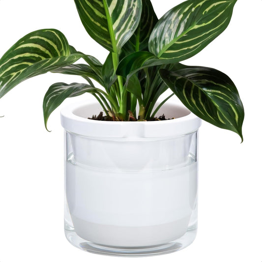 D'vine Dev 8 Inch Design Self Watering Planter for Indoor Plants, White Terracotta Pots with Cylinder Glass Cup, 37-X-C-2