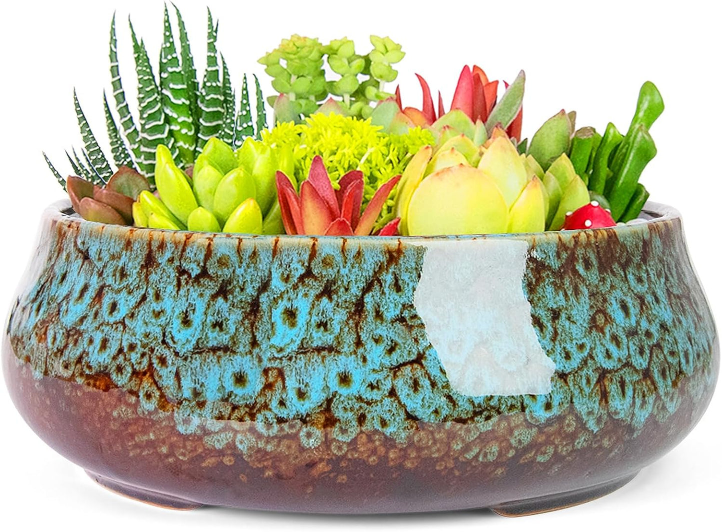 ARTKETTY Succulent Pots - 8 Inch Plant Pot, Large Bonsai Pots with Drainage, Ceramic Planters for Indoor Outdoor Plants, Round Shallow Cactus Flower Plant Container Bowl Decorative Home Garden