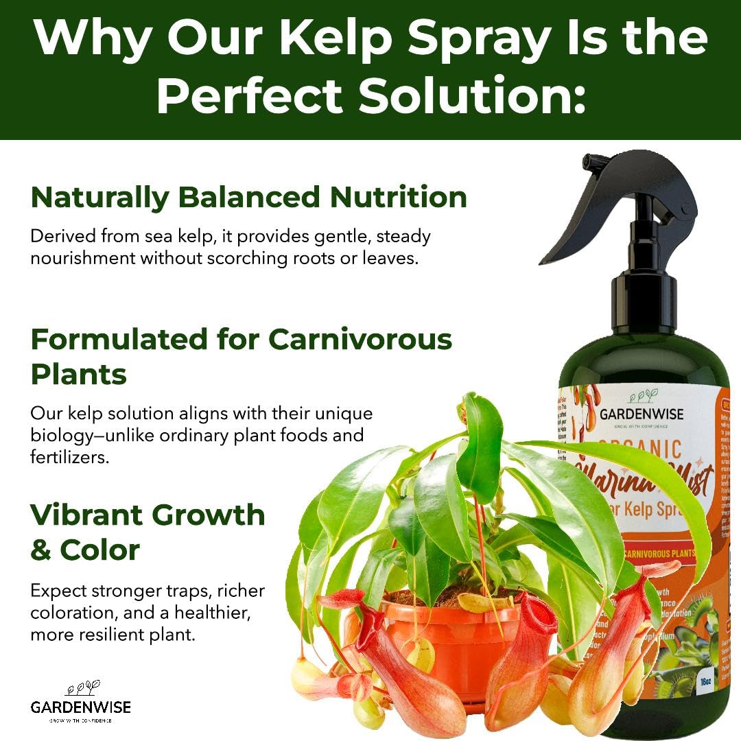 100% Organic Marina Mist Carnivorous Plant Food | Liquid Kelp Foliar Spray for Plants - Kelp Fertilizer for Venus Flytraps, Sundew, Butterworts, Pitcher Plants 16 Oz