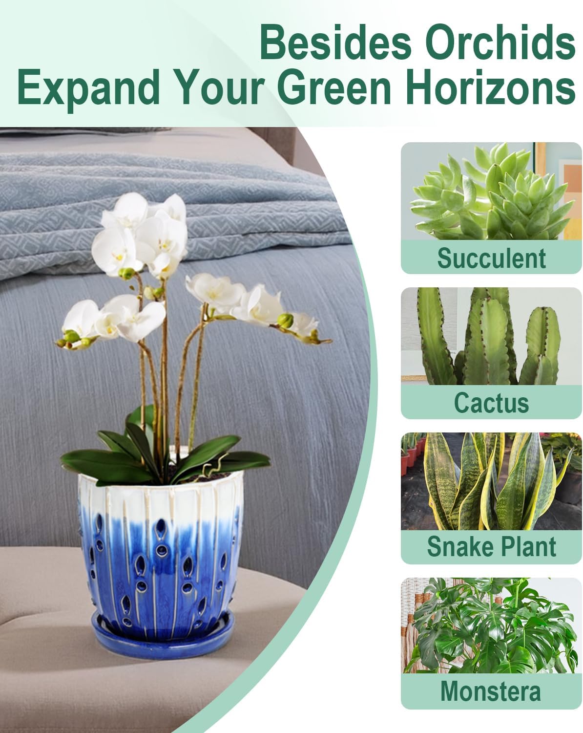 vensovo 6 Inch Ceramic Orchid Pot - Orchid Pot with Holes for Repotting, Ceramic Planter with Saucer for Indoor/Outdoor Plants, Blue