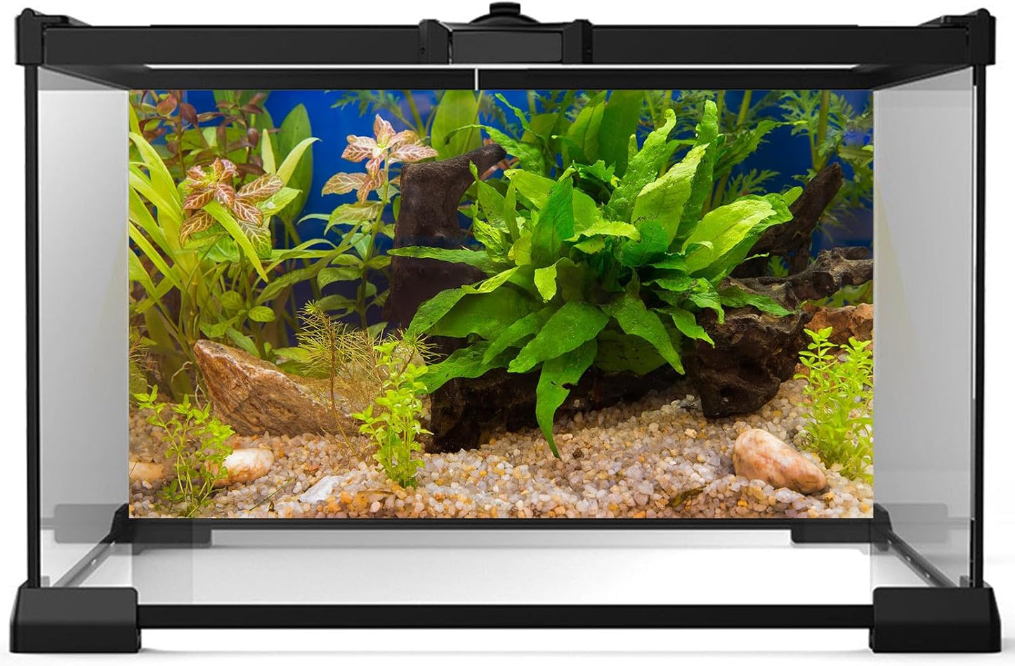 Aquarium Backdrop Underwater Grass Leaves Pebble Aquarium Background Vivid and Fresh Green Aquatic Plant Stone River Bed Fish Dead Wood Leaves Tank Background Decors Vinyl 48x20in