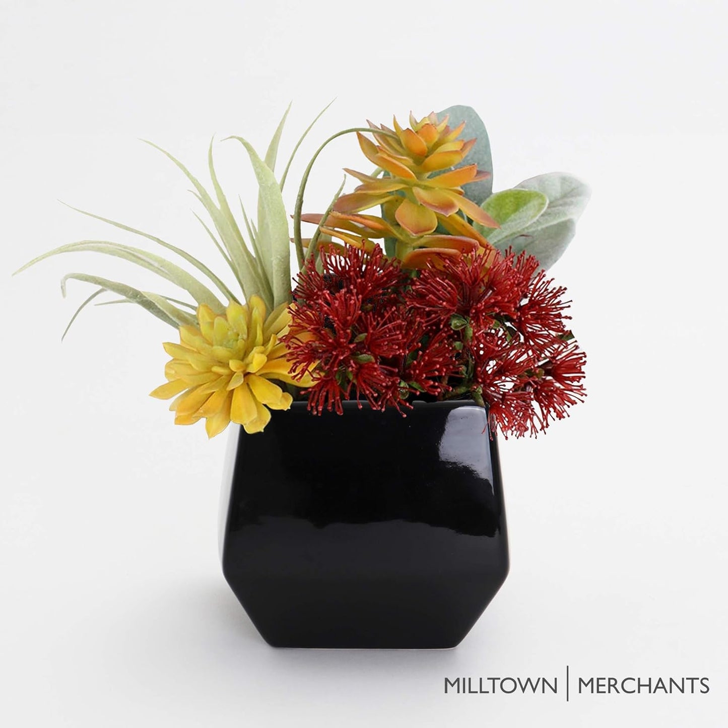 Milltown Merchants Succulent Wall Planters - Wall Vases - White Ceramic Wall Mounted Planters - Succulent Plant Pots - Hanging Vases for Living Wall (1 Pack/Contemporary/Black)