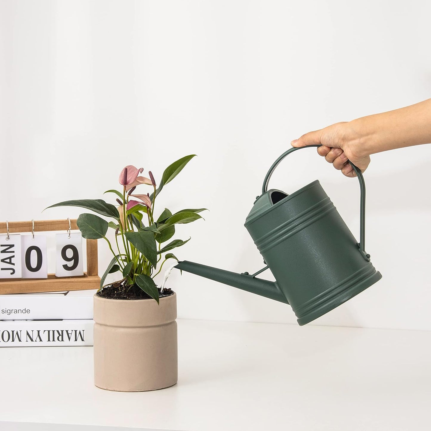 Plastic Indoor Watering Can with Sprinkler Head - 68 oz, 1/2 Gallon