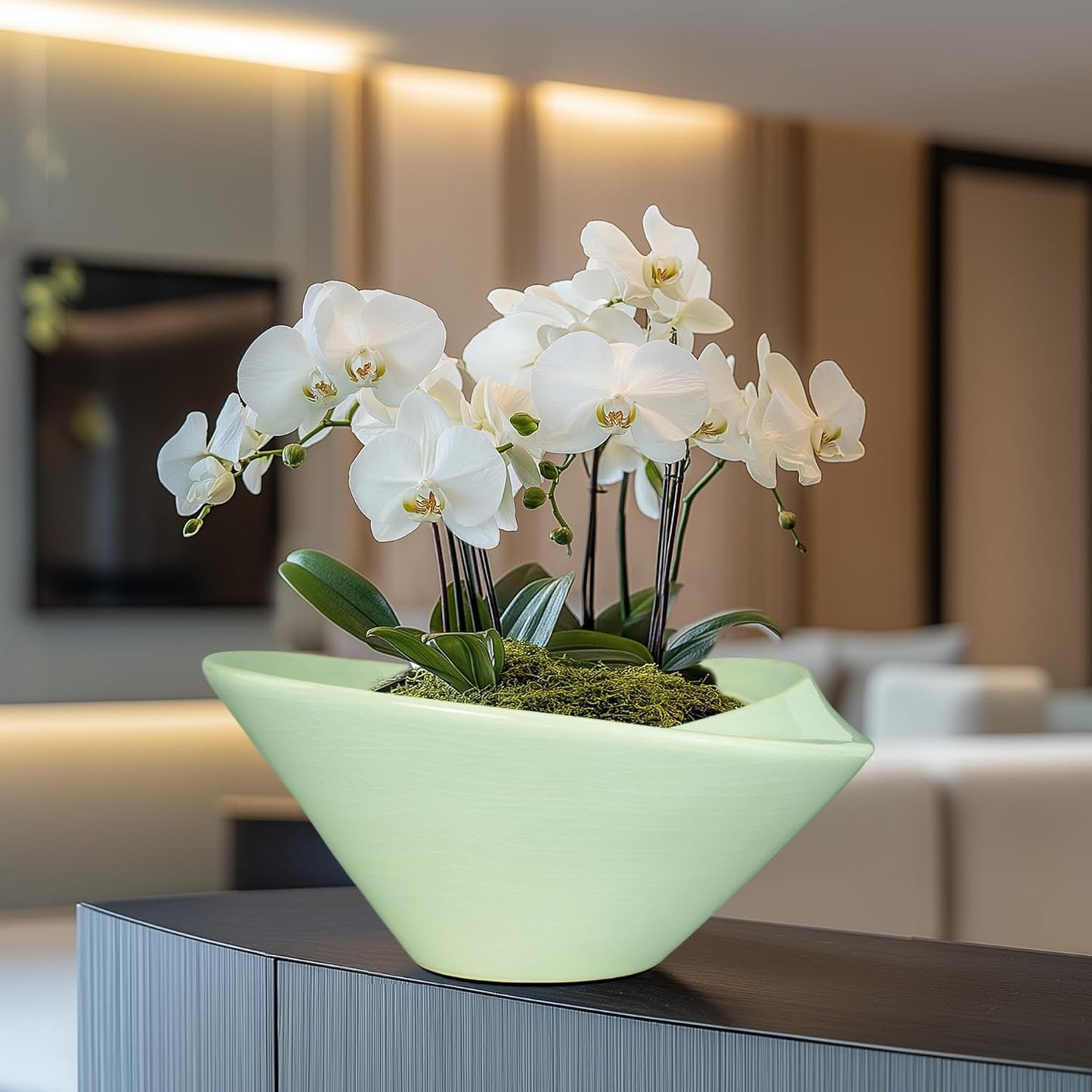 Ceramic Bonsai Pots - Large Succulent Planter 13 Inch Plant Pot Indoor Succulent Pot with Drainage Hole Outdoor Planter Bonsai Tree Pot for House Home Garden Office Decor Green