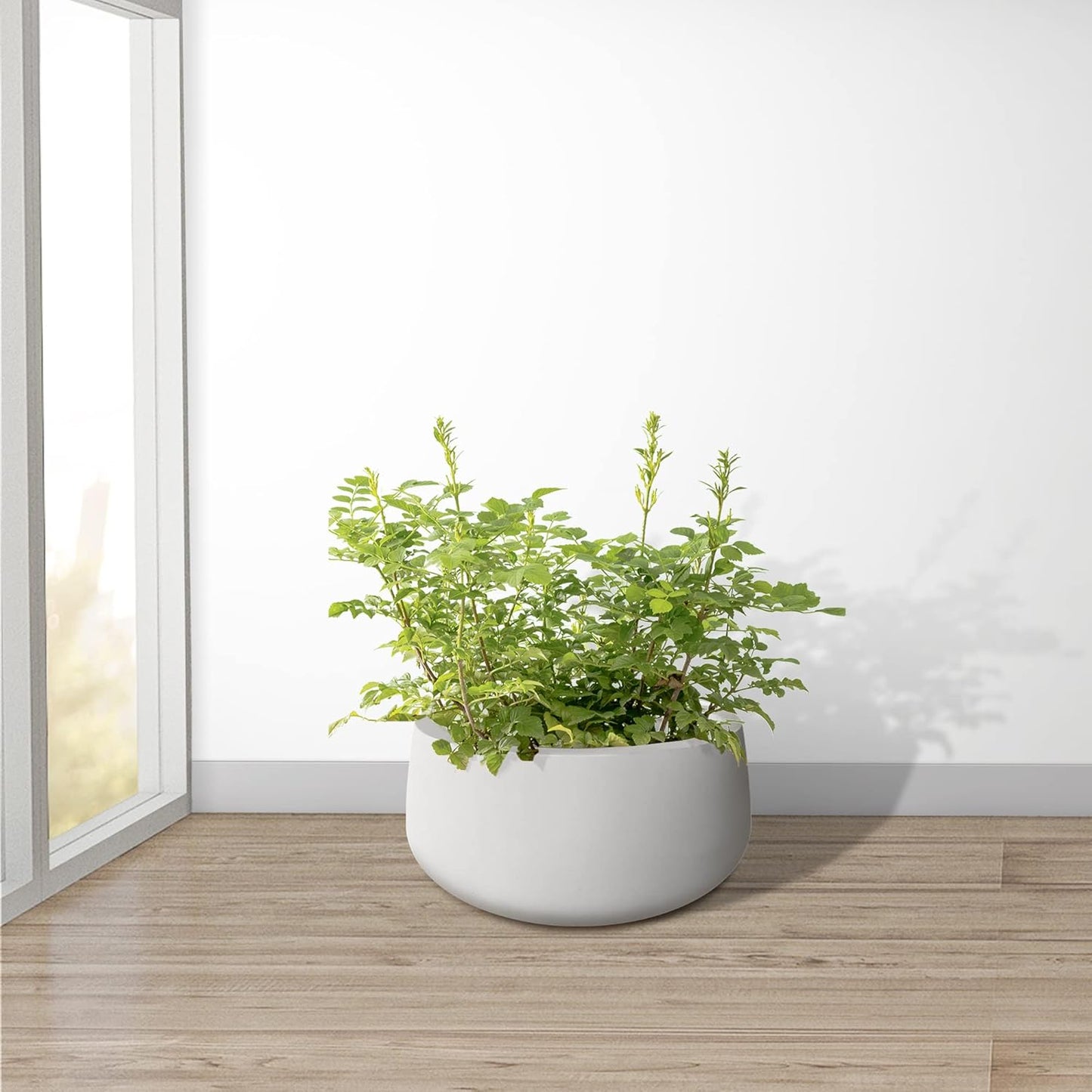 Kante 19.6" Dia Round Concrete Planter, Outdoor Indoor Garden Plant Pots with Drainage Hole and Rubber Plug, Modern Curvaceous Design, Pure White