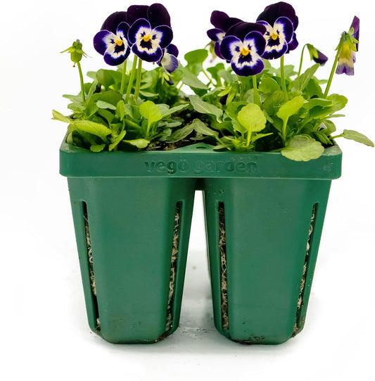 Vego garden Jumbo Seedling Trays Without Lids, 8 Pack Reusable Propagator Growing Starter Tray for Larger Plants, Heavy-Duty Plastic Germination Trays (4-Cell per Tray)