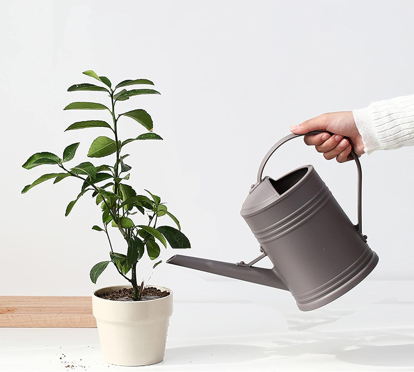 Plastic Indoor Watering Can with Sprinkler Head - 68 oz