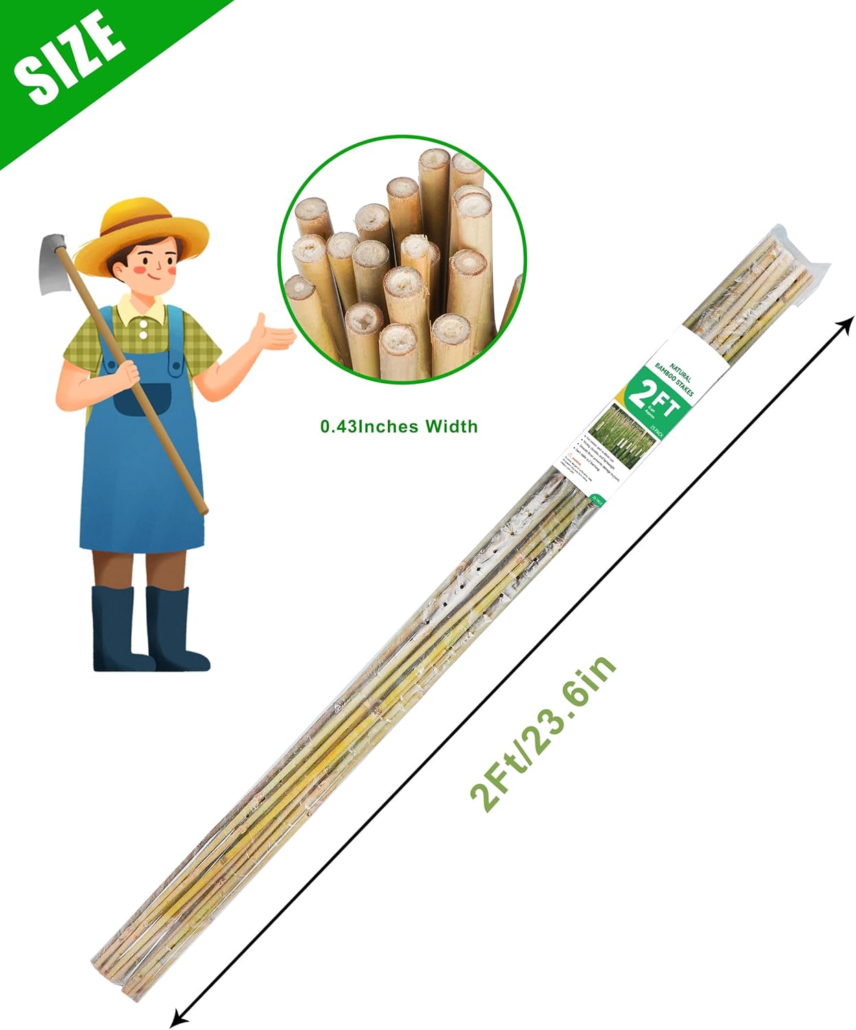 2ft Natural Bamboo Plant Stakes for Tomatoes, Beans, Flowers, Potted, Climbing Plants 25pcs