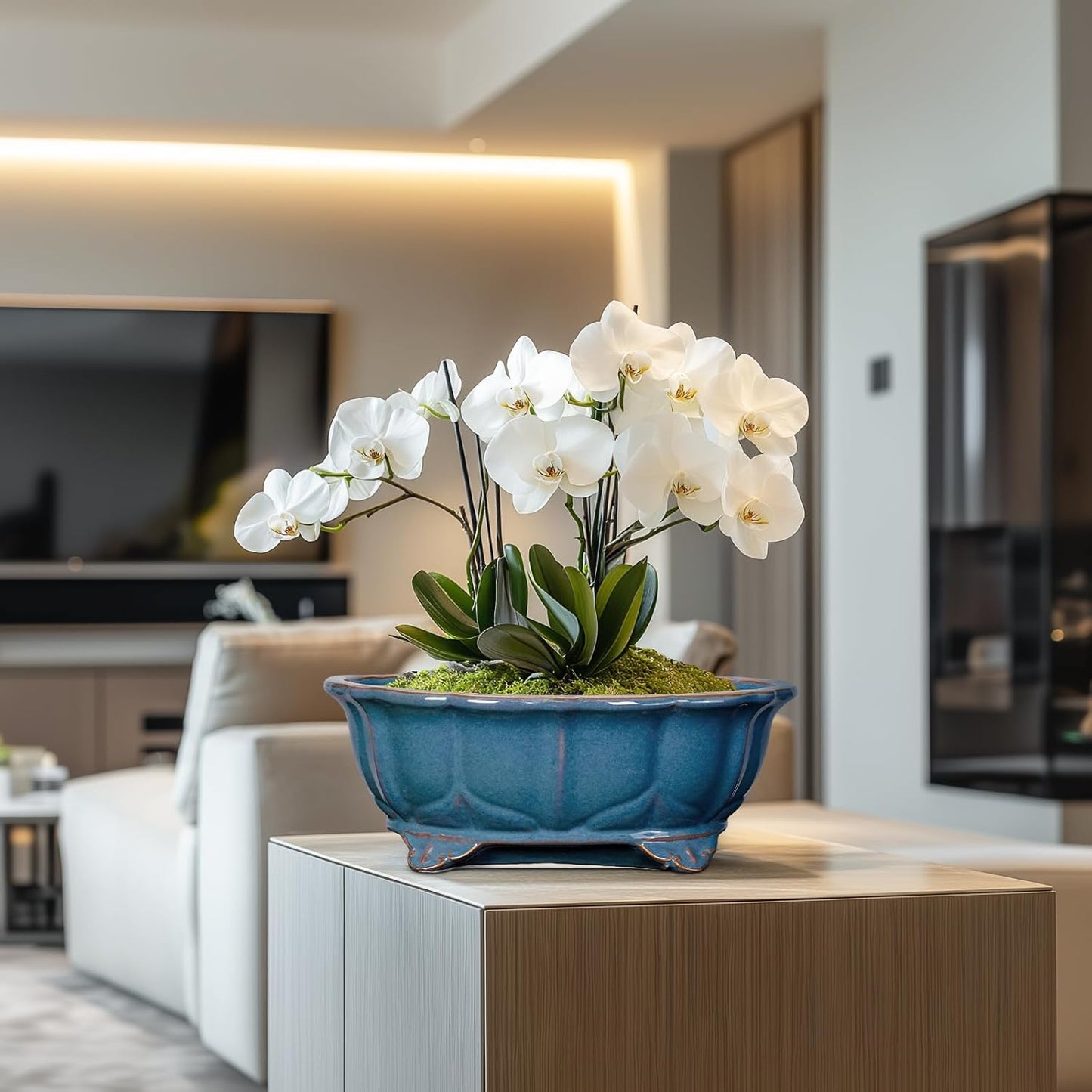 Bonsai Pots - 13.2 Inch Oval Ceramic Pots for Plants, Large Succulent Planter with Drainage Hole, Decorative Planters for Indoor Outdoor, Garden House Decor, Housewarming Gifts, Retro Blue