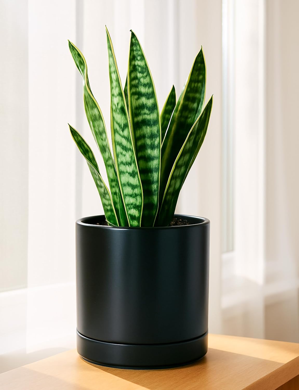 D'vine Dev 6.5 Inch & 8.2 Inch Ceramic Planter Pots for Plants with Drainage Hole and Saucer, Medium Plant Pots Set, Black, 94-G-M-2