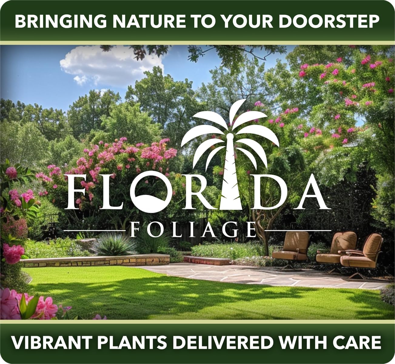 Pineapple Guava - 10 Live Plants - Feijoa Sellowiana - Edible Fruit and Flowering Foliage