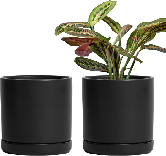 D'vine Dev Set of 2 Plants Pots, 6 Inch Ceramic Planter Pot for Plants with Drainage Hole and Saucer, Black, 94-V-C-2