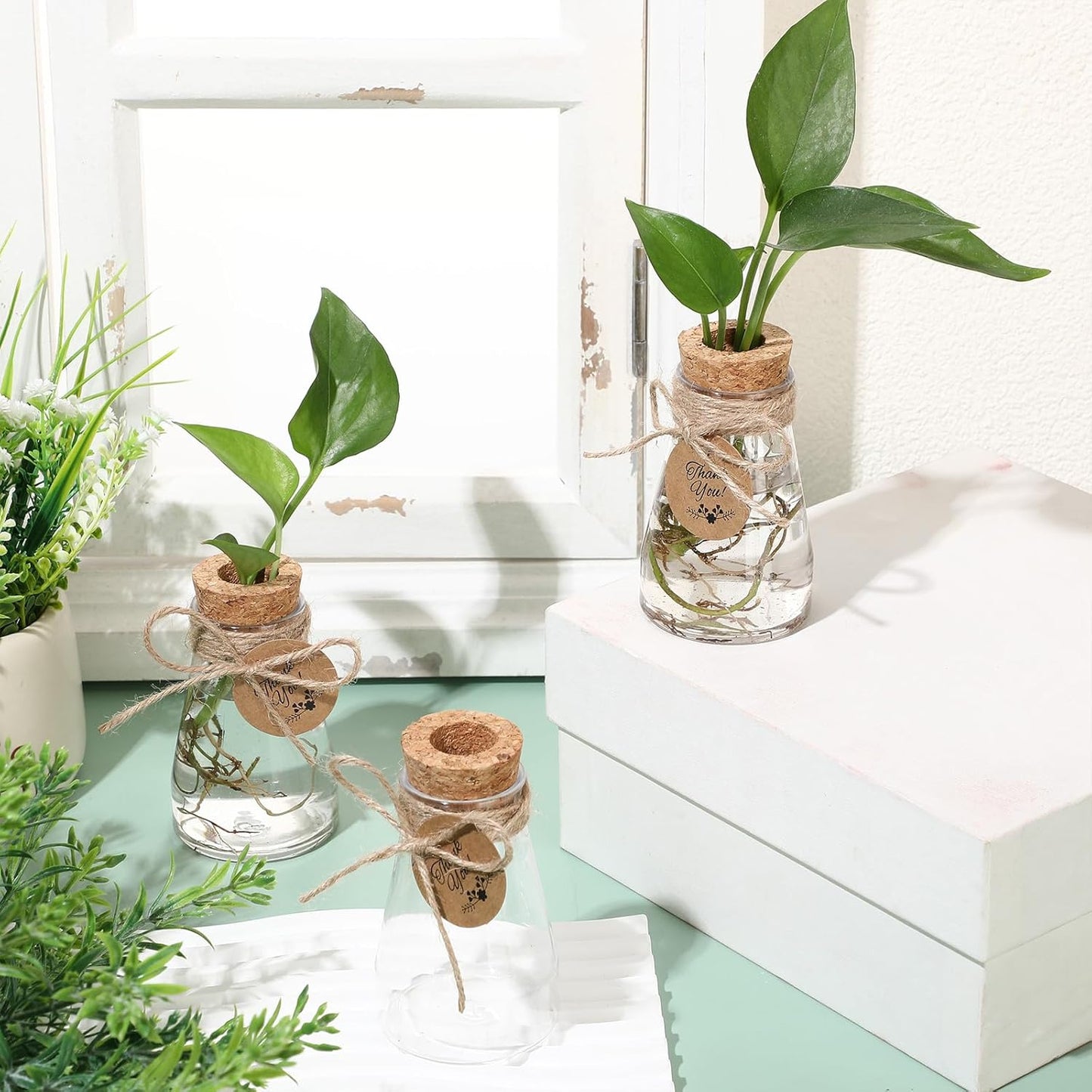 Baderke 24 Pack 3.35'' Plastic Plant Propagation Stations with Hole Lid Planter Vase Clear Propagation Jars with Thank You Tags for Plant Lover Gifts for Women Office Home Garden (Cute)