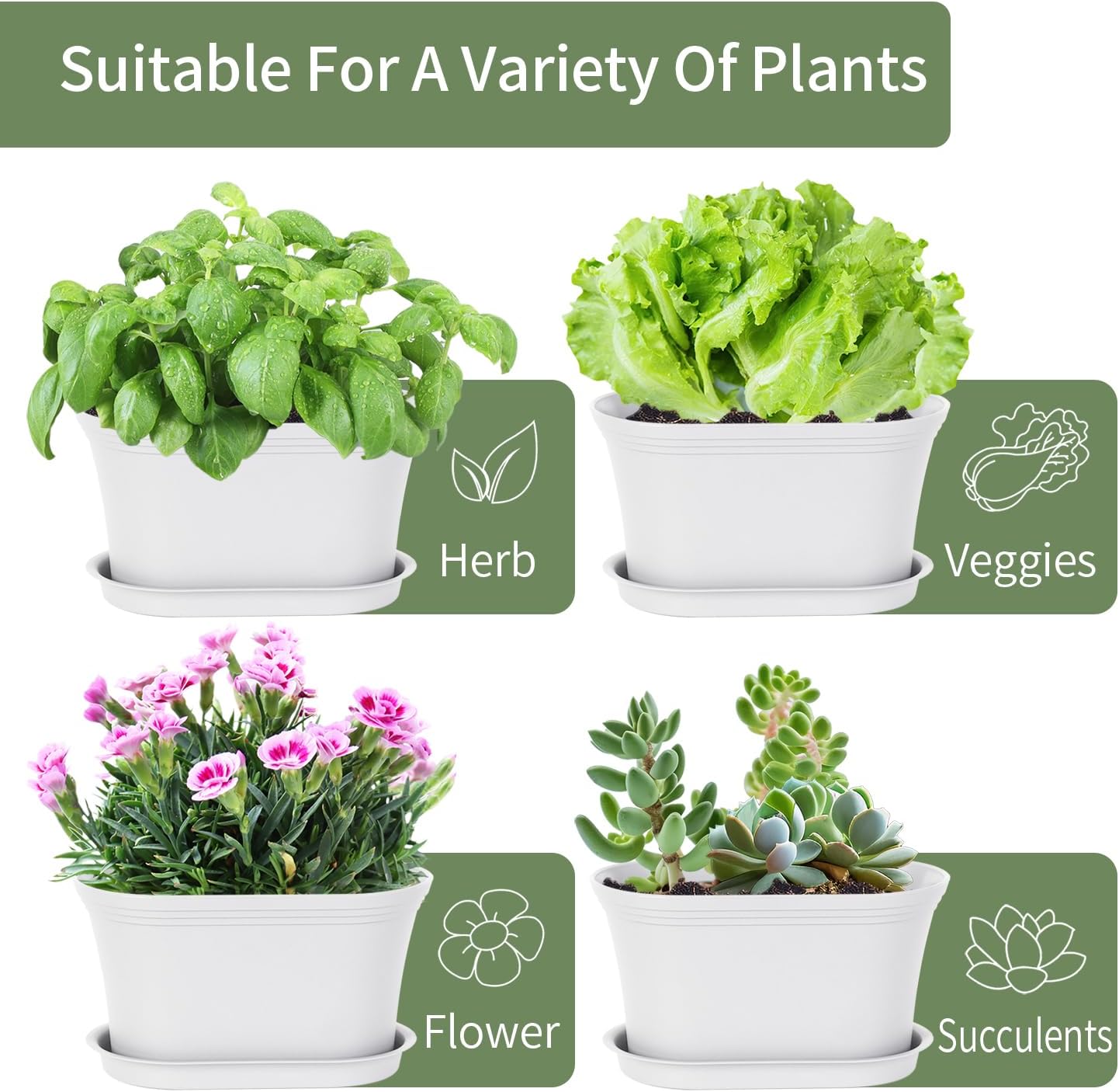 Windowsill Garden Pots, White Plastic Flower Pots with Drainage Tray for Herb, Succulents, African Violet (Pack of 6)