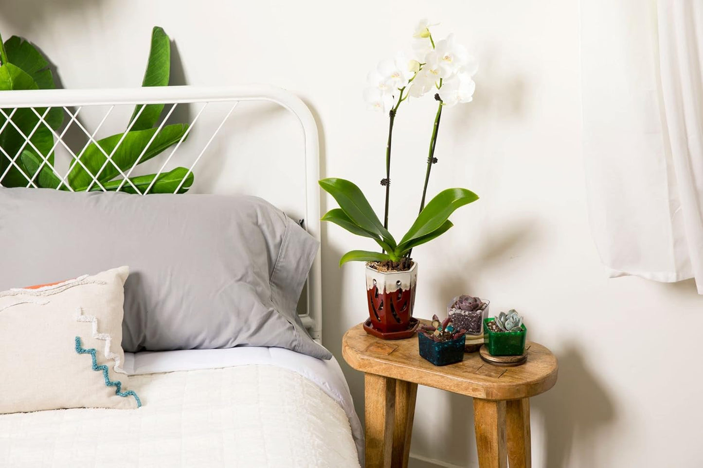 rePotme 4 x 6 inch Ceramic Orchid Pot (Cream Over Garnet) - Hexagon Orchid Pot with Holes