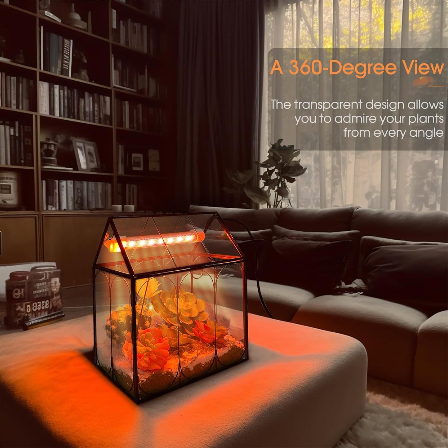 Plant Terrarium Kit with Grow Light, Rifny Small Glass Terrarium Jar with Absorbent Mat and Lid for Venus Fly Trap Succulent Live Air Plants Indoor Home Office Decor (Black, 7.1 x 4.8 x 8.8 inch)