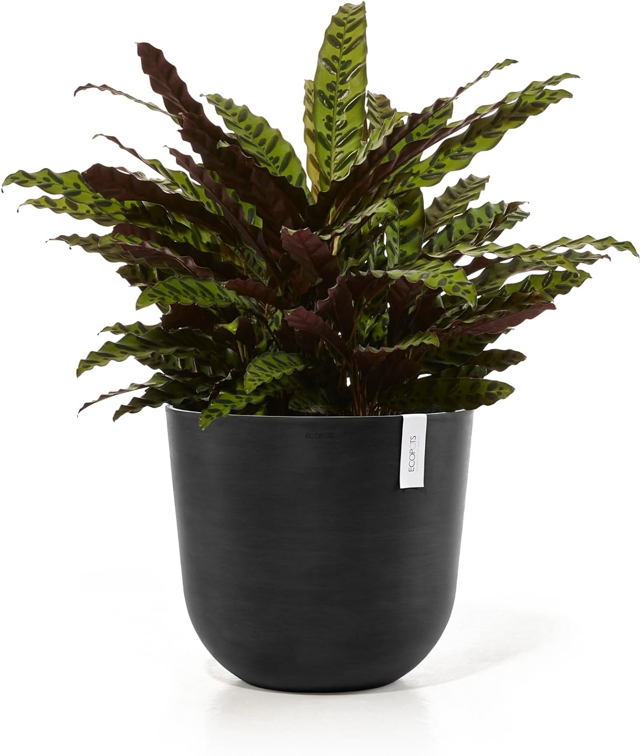 Ecopots Oslo Durable Modern Round Indoor/Outdoor Recycled-Based Composite Flower Pot Planter, Dark Grey, 17.75"