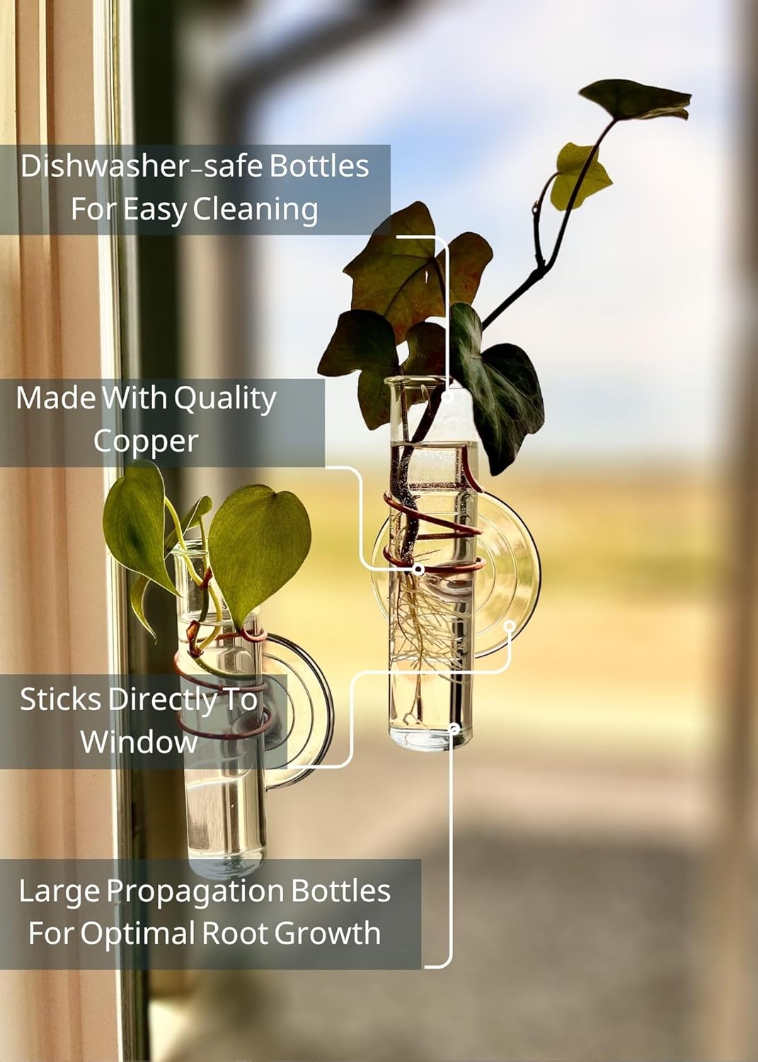 The Little Window Propagator | Window Propagation Station with Removable Glass Tubes, Indoor Plant Clippings, Cut Flowers, Herbs, Succulents | Home Decor | Plant Lover Gift (2)