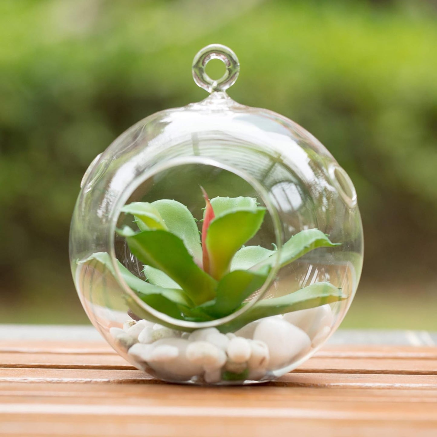 WGV Hanging Terrarium Globe, Width 5", Height 6", DIY Air Succulent Planter, Clear Glass Vase Orb with Flat Bottom, Candle Holder for Windowsill Outdoor Garden Decor, 6 Pieces Bulk
