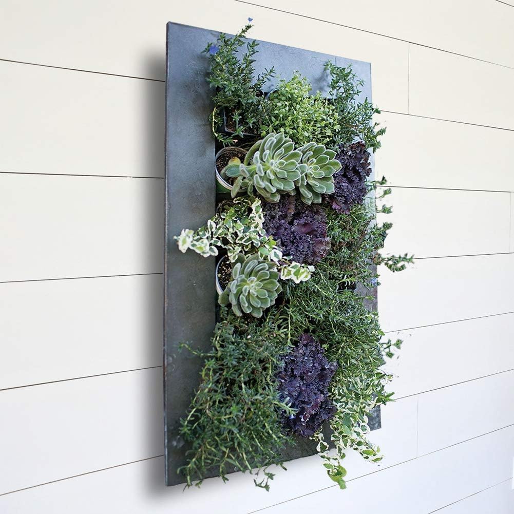 Modern Home Living Wall Galvanized Steel/Zinc Succulent Planter (Black Zinc, 18 Pocket)