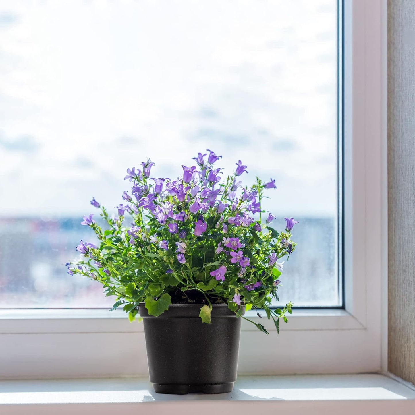 MIXC Plant Nursery Pots with Humidity Dome 4" Soft Transparent Plastic Gardening Pot Planting Containers Cups Planter Small Starter Seed Starting Trays for Seedling with 10pcs Plant Labels，30 Sets…