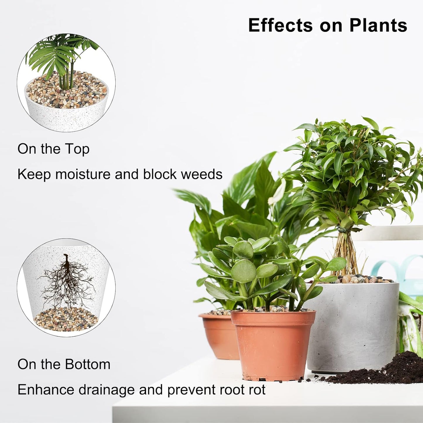 GASPRO 10 Pound Pebbles for Indoor Plants, 3/8 Inch Decorative Rocks for Vase, Succulents, Landscaping, Garden, Highly Polished, Mixed Color