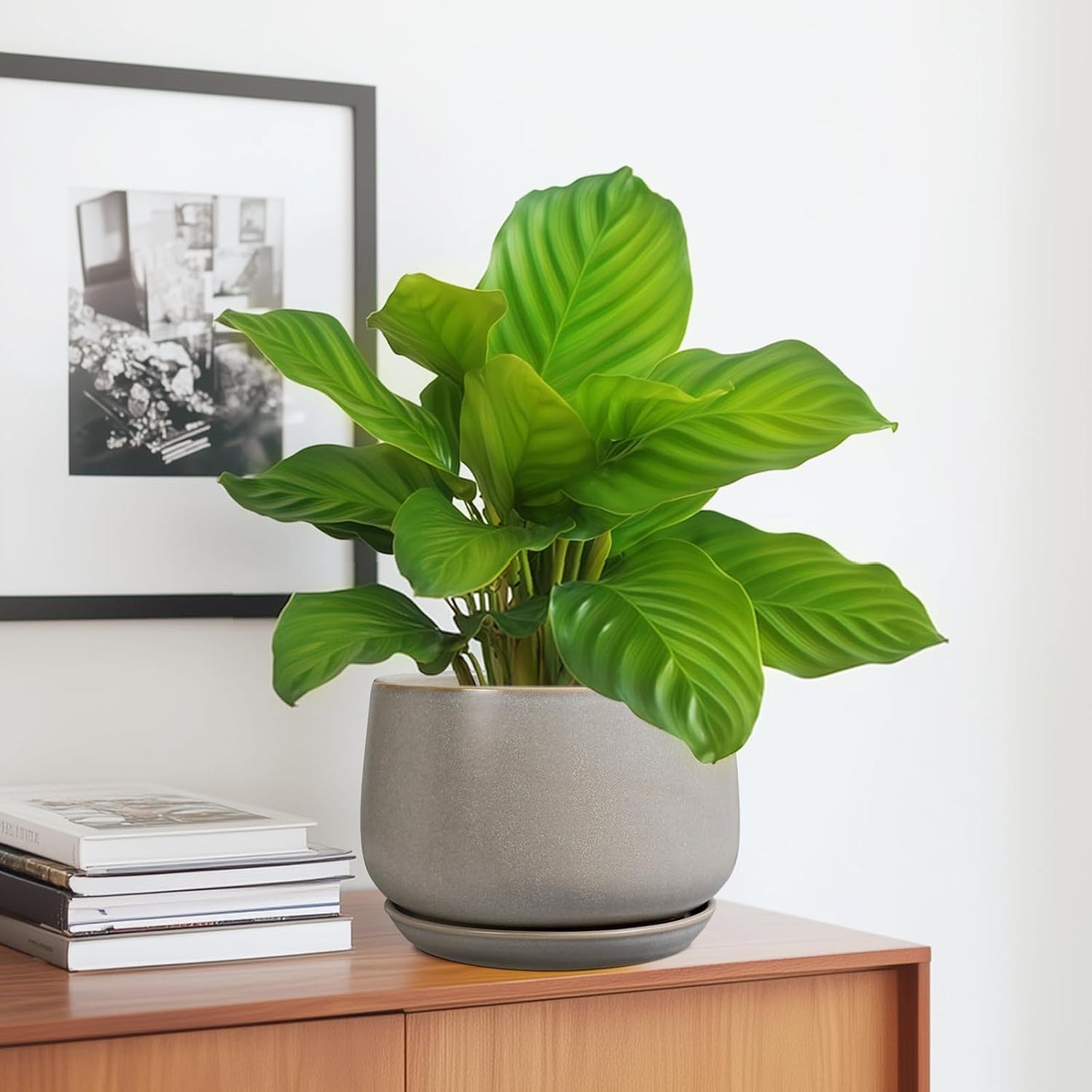 G EPGardening Ceramic Pots for Plants 7 Inch - Large Ceramic Planters for Indoor Plants Outdoor Modern Flower Pot with Drainage Holes and Saucer for Office Garden Patio Grey