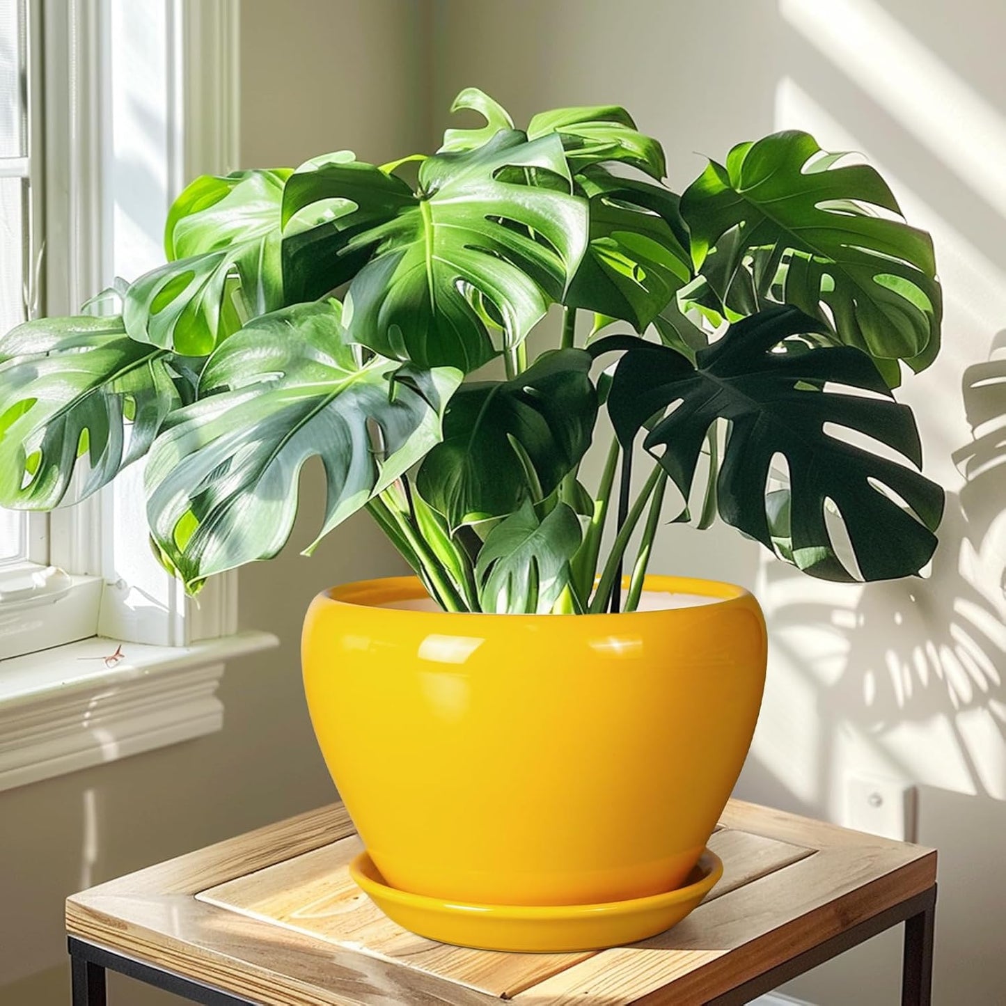 Ceramic Planter - 10 Inch Plant Pot for Indoor Outdoor Plants Glaze Modern Round Planter with Drainage Hole and Saucer for Garden Office Home Room Patio Decor, Yellow