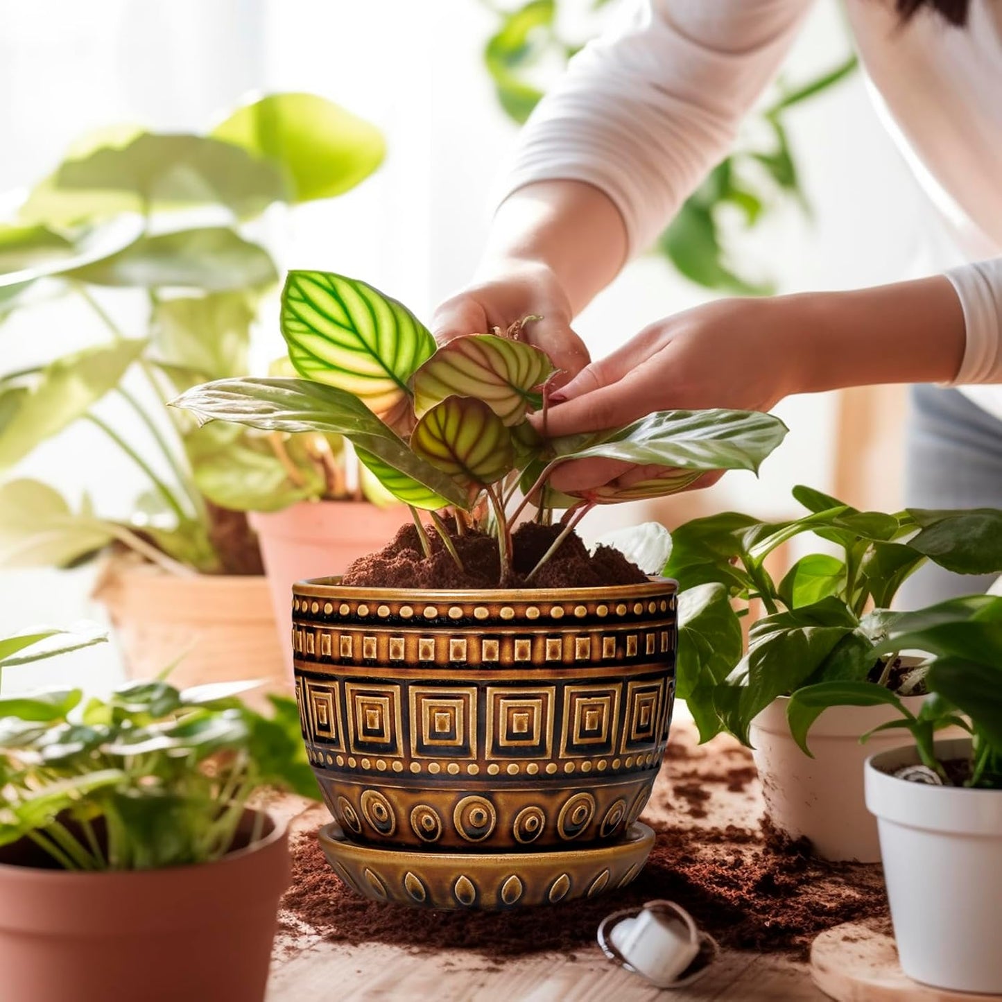 G EPGardening Succulent Pot 5.5 Inch - Ceramic Plant Pot for Indoor Plants Outdoor, Round Boho Planter with Drainage Hole and Saucer, Gifts for Plant Lovers, Office Home Garden Decor, Brown