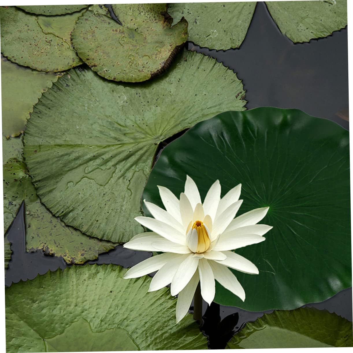 DOITOOL Artificial Lily Pads for Koi Pond: 3 Pcs Artificial Floating Foam Lotus Leaves 11 Inch Realistic Water Lily Pads Ornaments for Patio Fish Pond Pool Aquarium Decor, Green