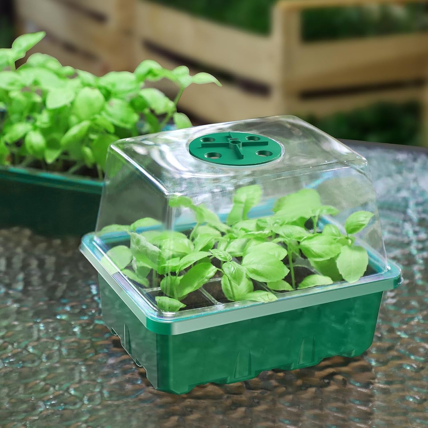 MIXC 10 Packs Seed Starter Tray Seed Starter Kit (60 Cells Total Tray) Seed Starting Trays Plant Starter Kit and Base Mini Greenhouse Germination Kit