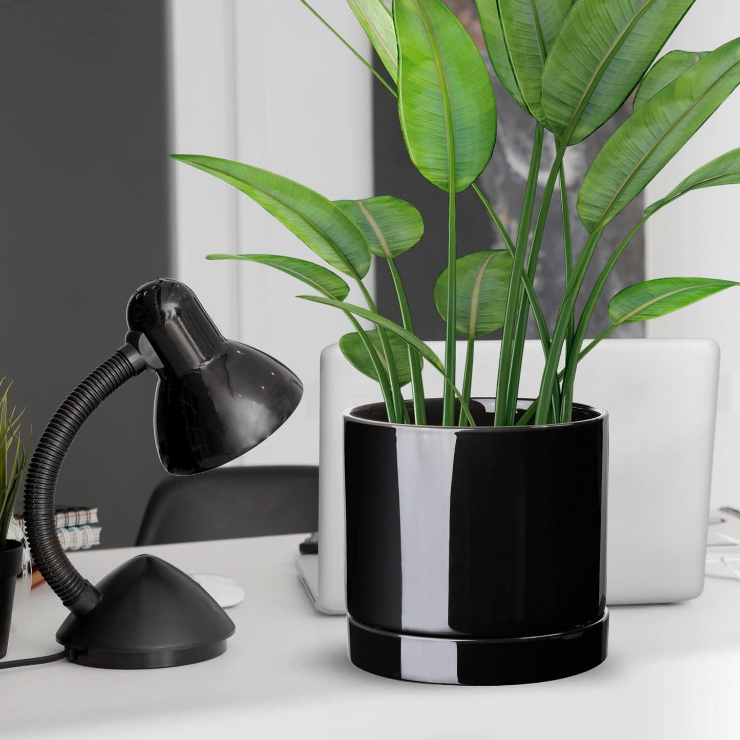 Aveyas 10 inch Ceramic Plant Pot with Drainage Hole and Saucer - Suitable for Indoor and Outdoor Use, Modern Planters for House Garden Flower Tree Snake Monstera Plants (10", Glossy Black)