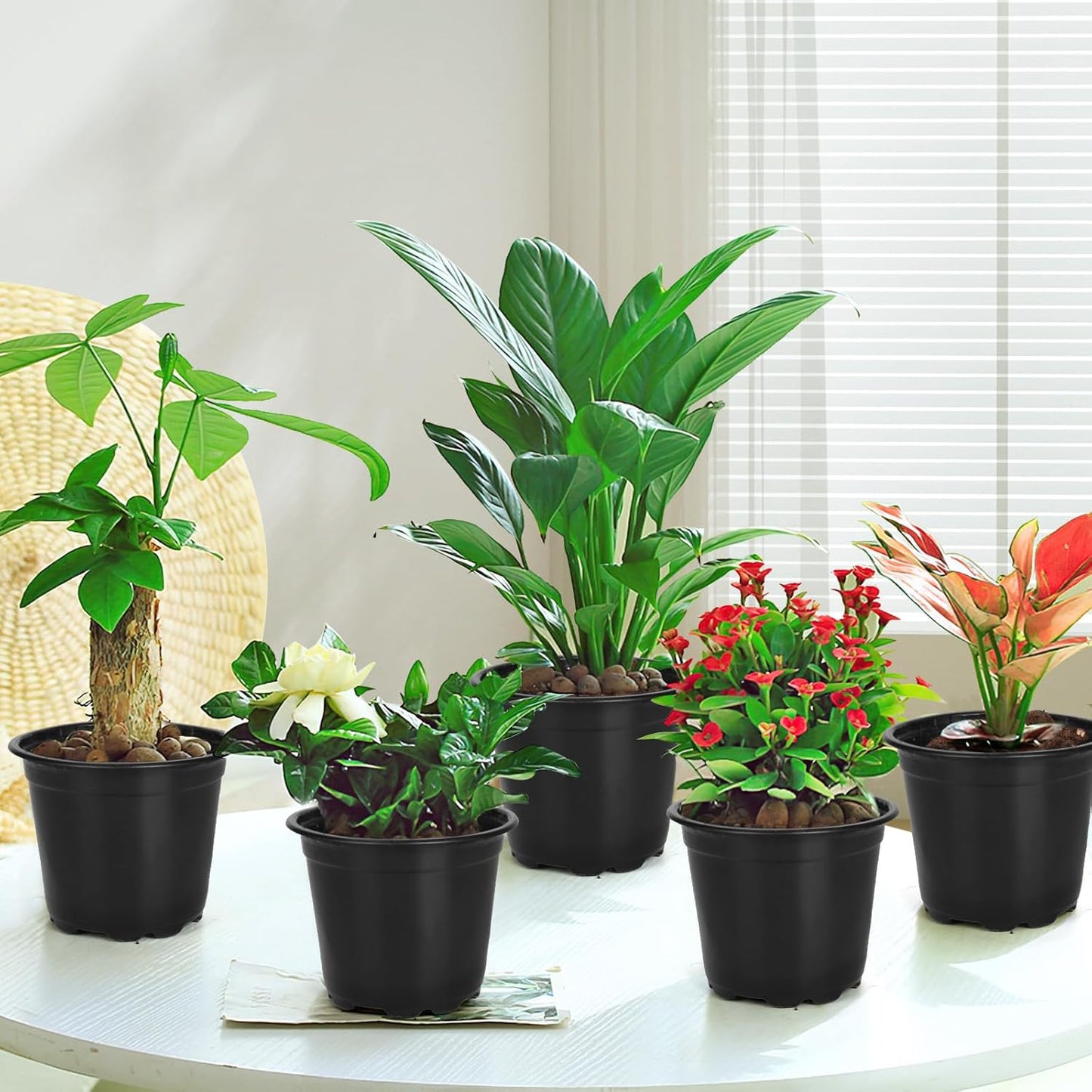 120 Packs 6 Inch Plant Nursery Pots, Plastic Seeds Starter Pots with Drainage Holes, Germination Soft Flower Plant Container for Succulents Seedling Cutting Transplanting (120, 6 Inch)