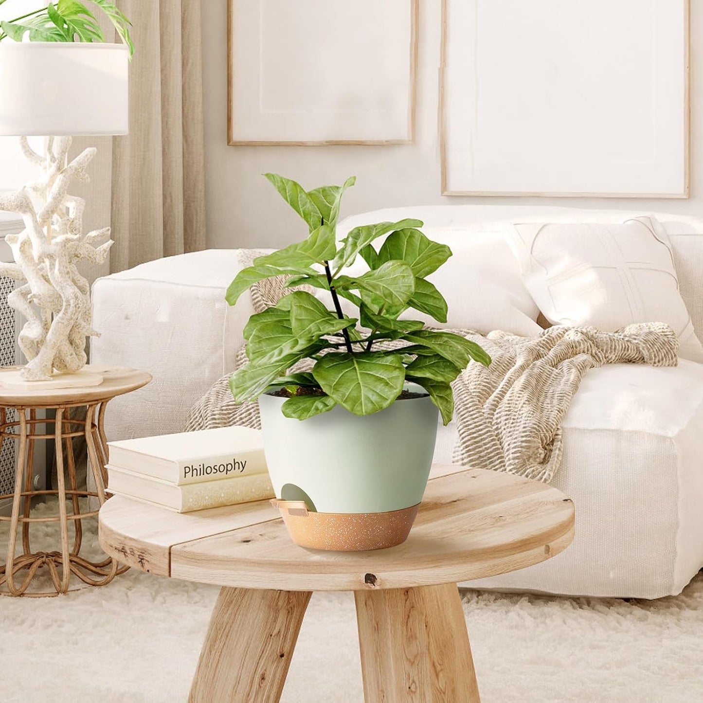 Indoor Plant Pots With Drainage Holes and Saucers Planting Pots for All HousePlants Green Plastic Flower Pots with Drainage Hole Self Watering Plant Pot Gift Idea For Home Decor Succulent Pots