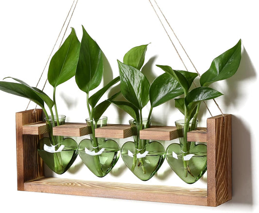 Plant Propagation Stations Heart Plant Terrarium Kit Gift for Women Plant Lover Glass Vases