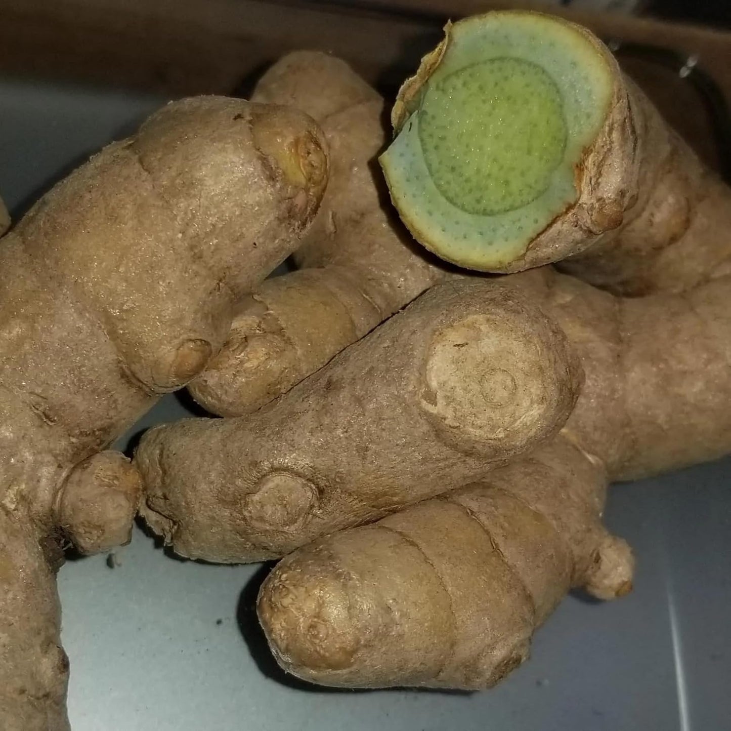 Green Turmeric Live Plant - (Curcuma aeruginosa) - Rare Medicinal Herb, Vibrant Pink Flowers, Ideal for Tropical Gardens (2 Green Turmeric Bags)