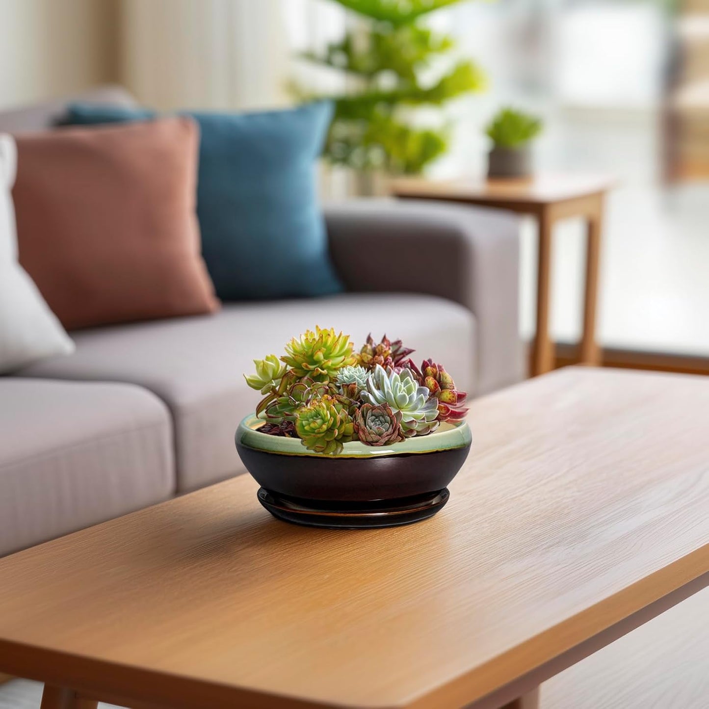 SQOWL Succulent Pots 6 Inch - Shallow Ceramic Planter, Bonsai Pot with Drainage Hole and Saucer, Round Ceramic Succulent Planter for Indoor Outdoor Plant, Kitchen Decor, Plant Lover Gift, Green-Brown