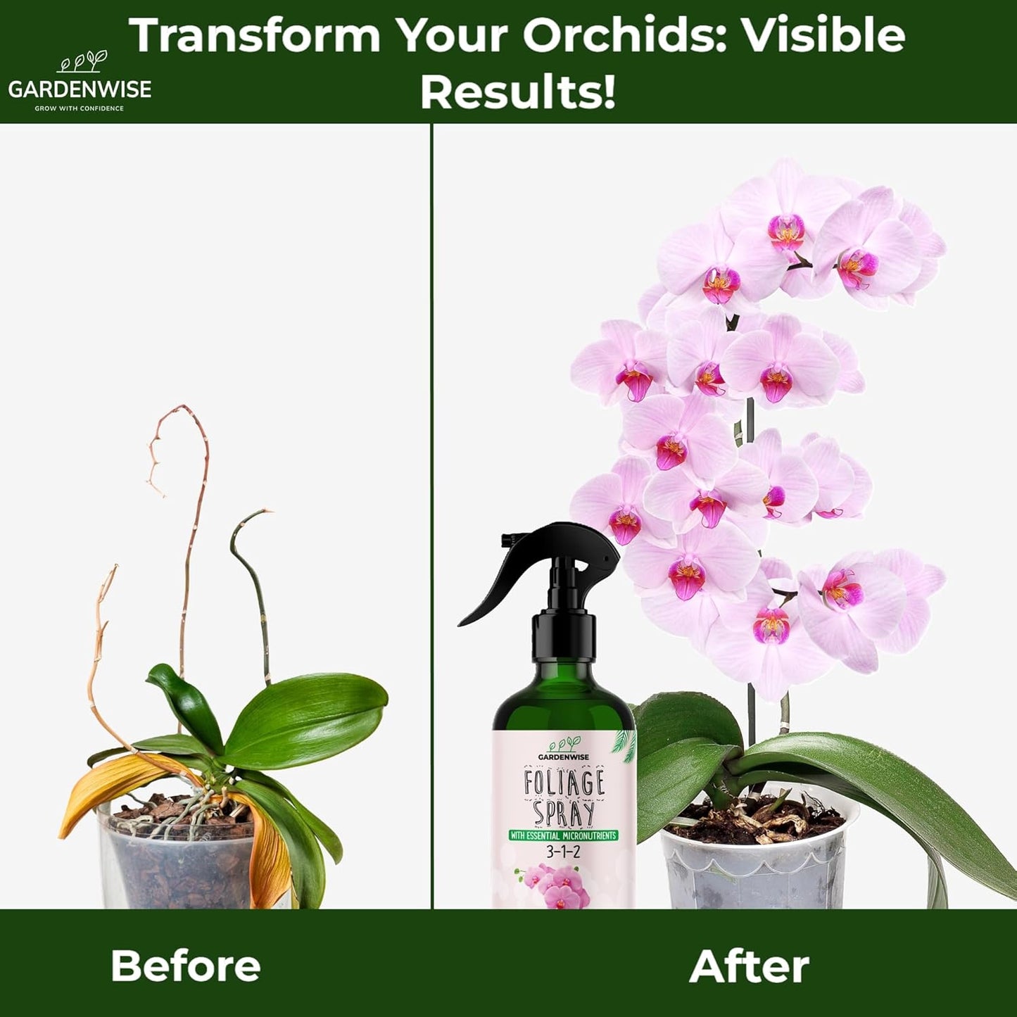 Premium Orchid Plant Food Mist – Orchid Fertilizer Spray – Orchid Food Fertilizer for Blooming – Orchid Plant Care Formula 3-1-2 – Ready-to-Use (16 OZ)