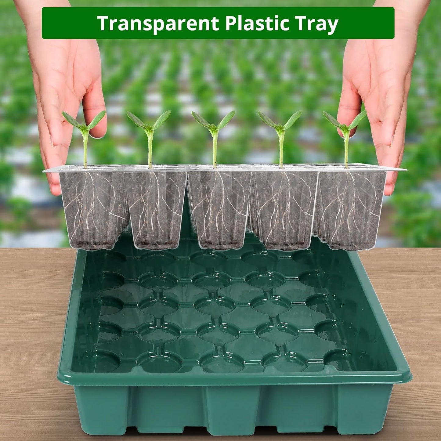 Sondiko Seed Starter Tray with Grow Light, Intelligent Display Digital Controller, 80 Cells Seed Starter Kit with Humidity Dome, Adjustable Brightness Indoor Plants Germination Kit(2 Pack)