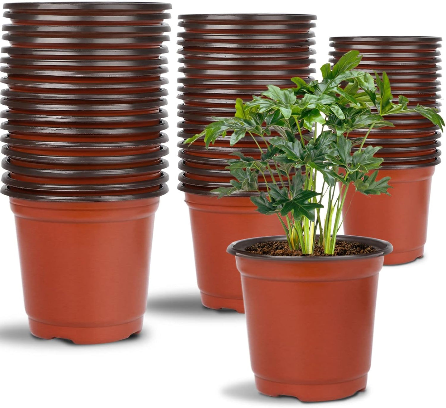 Augshy Nursery Pot, 75 Pcs 4", 5", 6" Plastic Plant Nursery Seed Starting Pots for Indoor Outdoor Succulent Seedling Cutting Transplanting