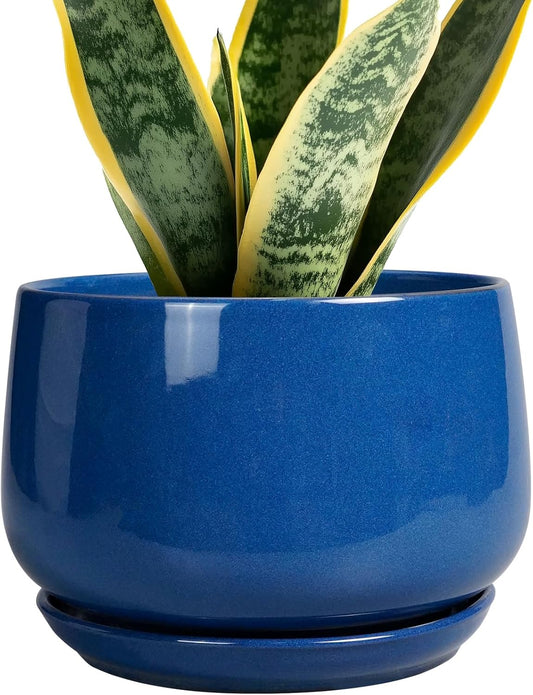 G EPGardening Round Ceramic Plant Pots - 7 Inch Modern Planter with Drainage and Plant Saucer for Indoor Outdoor Flower, Round Office Decor, New Gifts for Home, Blue
