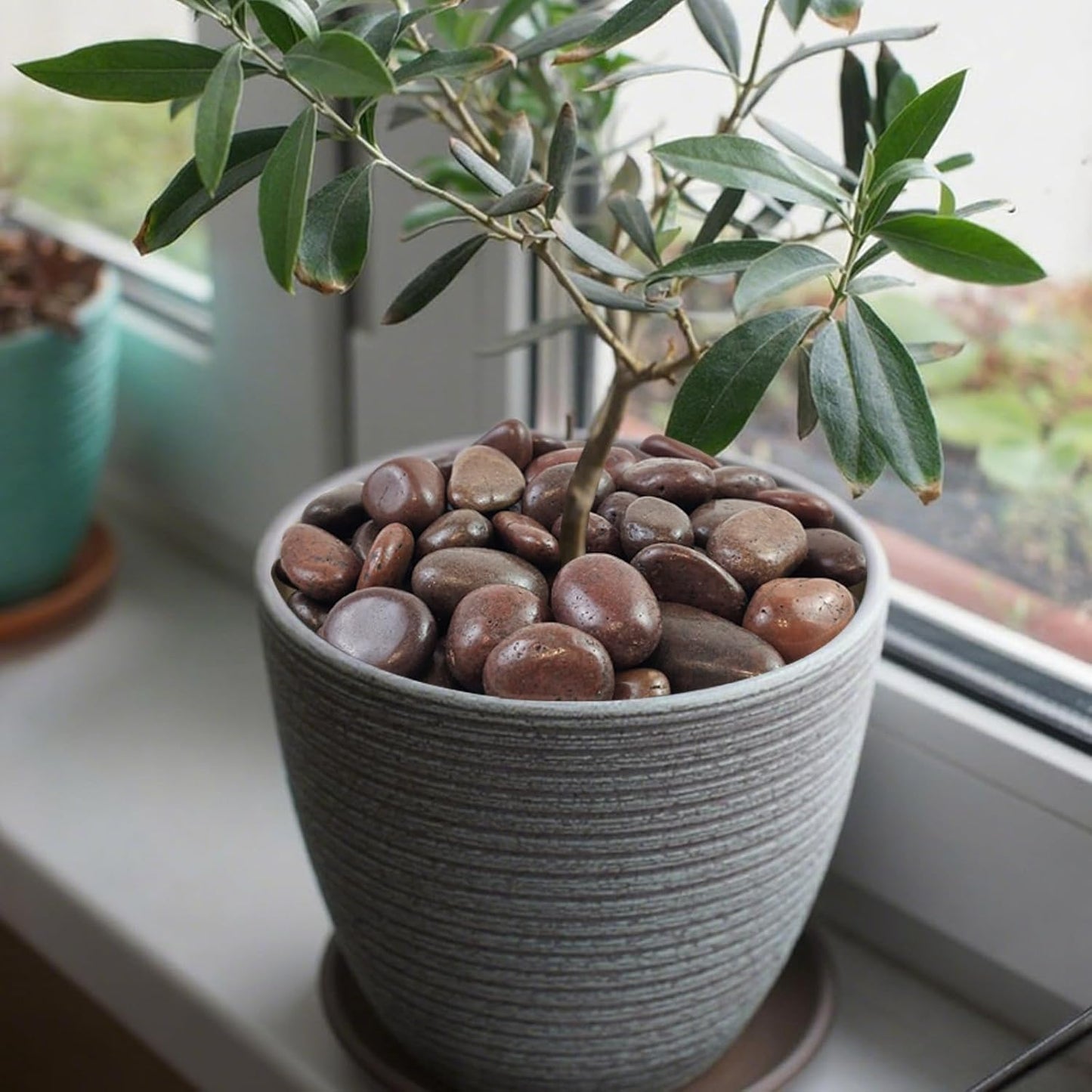 10 lbs Red River Rocks, 2-3 Inch Polished Pebbles for Indoor Plants, Decorative Rocks Stones for Landscaping, Vases, Aquariums, Fountains, Pathways, Backyard and Garden