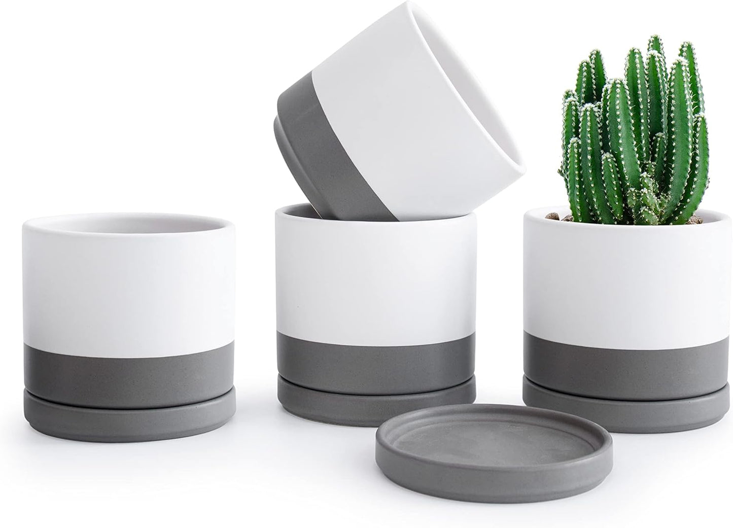 D'vine Dev Set of 4 Small Ceramic Plant Pots, 4.6 Inch Succulent Planter Pot for Plants with Drainage Hole and Saucer, White/Speckled Grey, 94-X-B-6