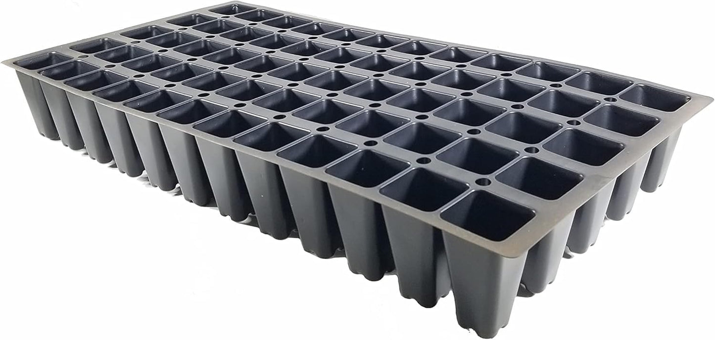 San Jose Juniper | 10 Live Plants | Juniperus Chinensis | Bonsai Drought Tolerant Cold Hardy Evergreen Groundcover