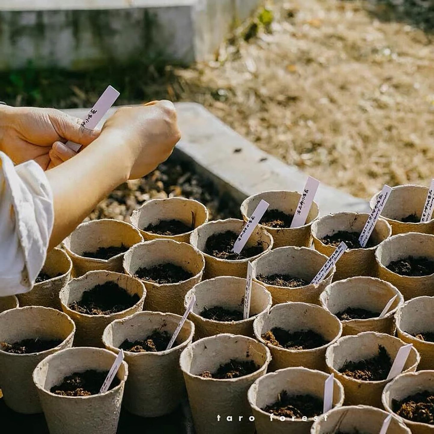 Cedilis 60 Pack 4 inch Peat Pots, Biodegradable Plant Starter Pots with Plant Labels, Germination Station Starter Cups, Disposable Plant Pots for Seedlings, Flowers, Vegetables Seeds